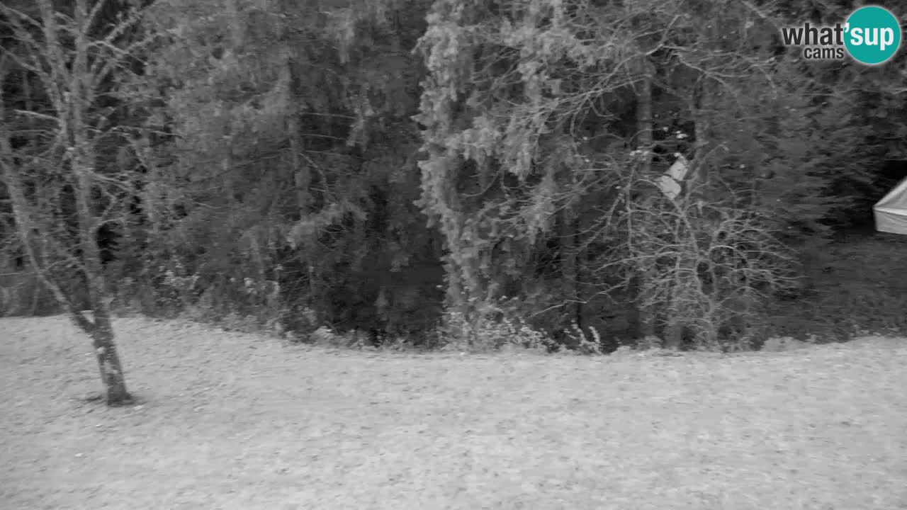 Webcam Lukanja – Water Village | Pohorje Houses