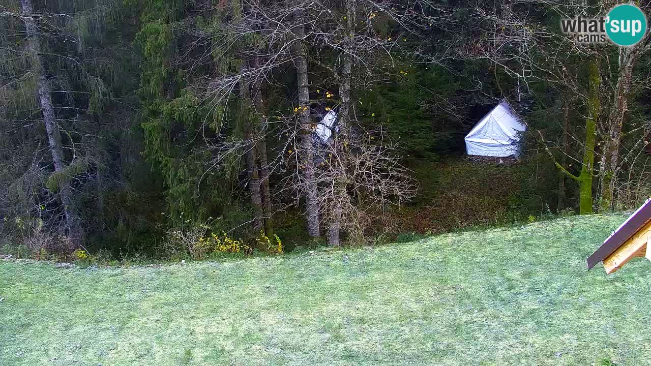 Webcam Lukanja – Water Village | Pohorje Houses