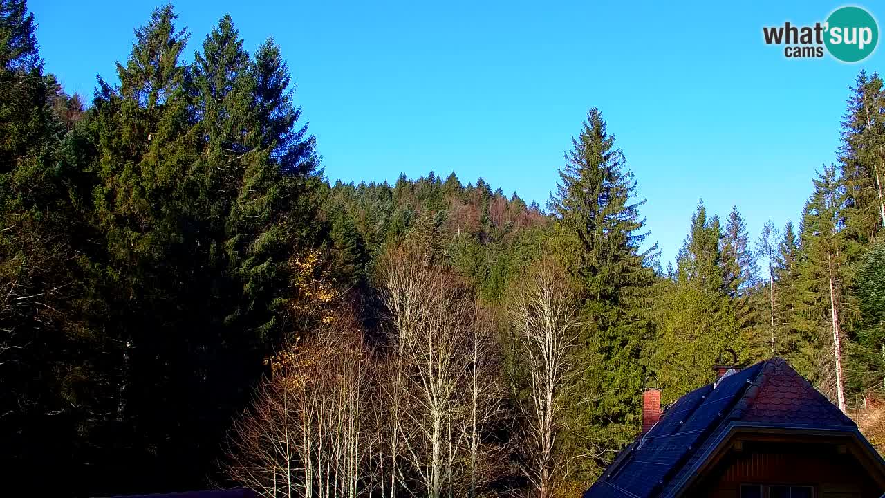 Webcam Lukanja – Water Village | Pohorje Houses