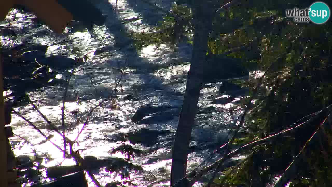 Webcam Lukanja – Water Village | Pohorje Houses