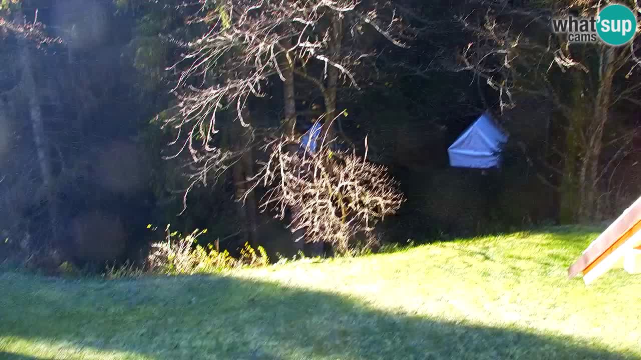 Webcam Lukanja – Pohorje houses a Water village