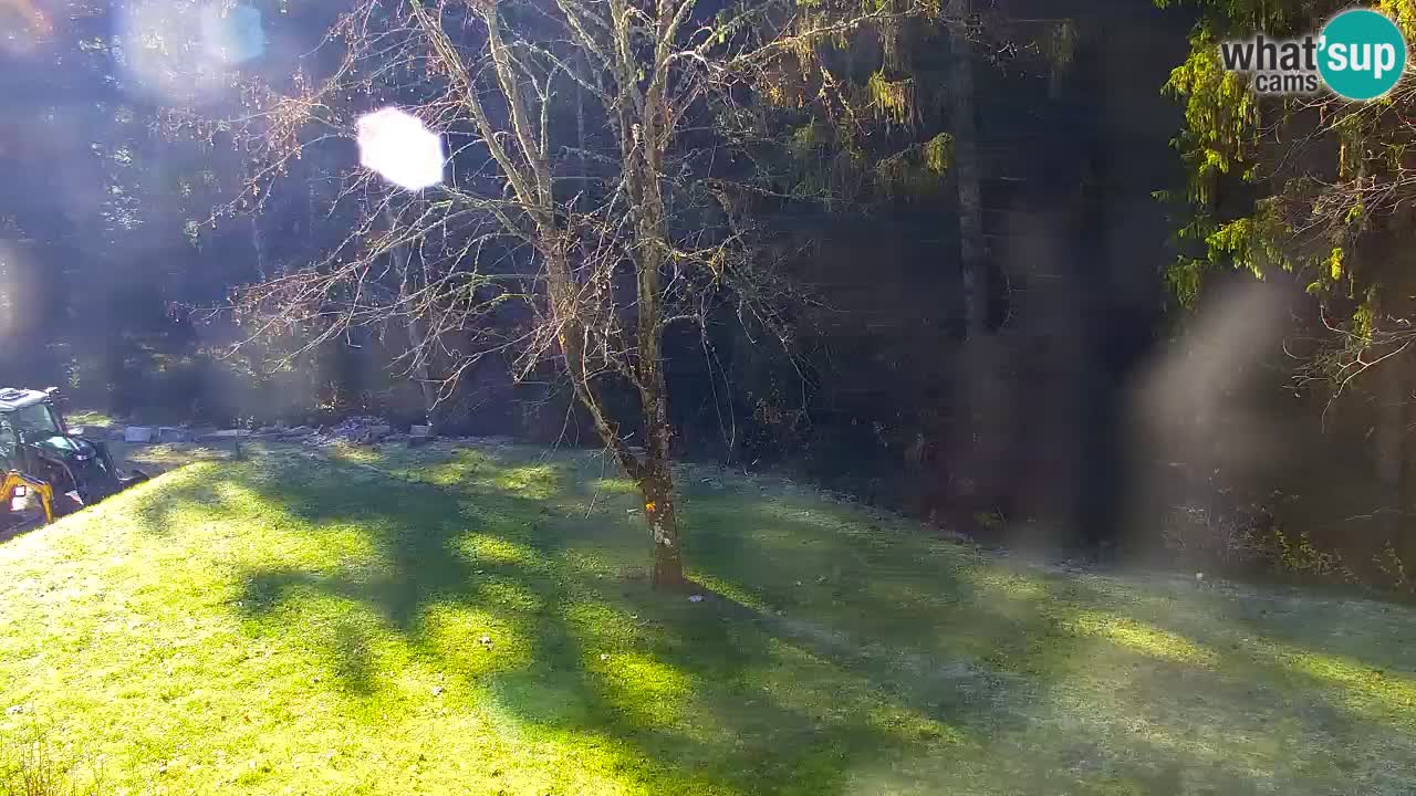 Spletna kamera Lukanja – Water Village | Pohorje Houses