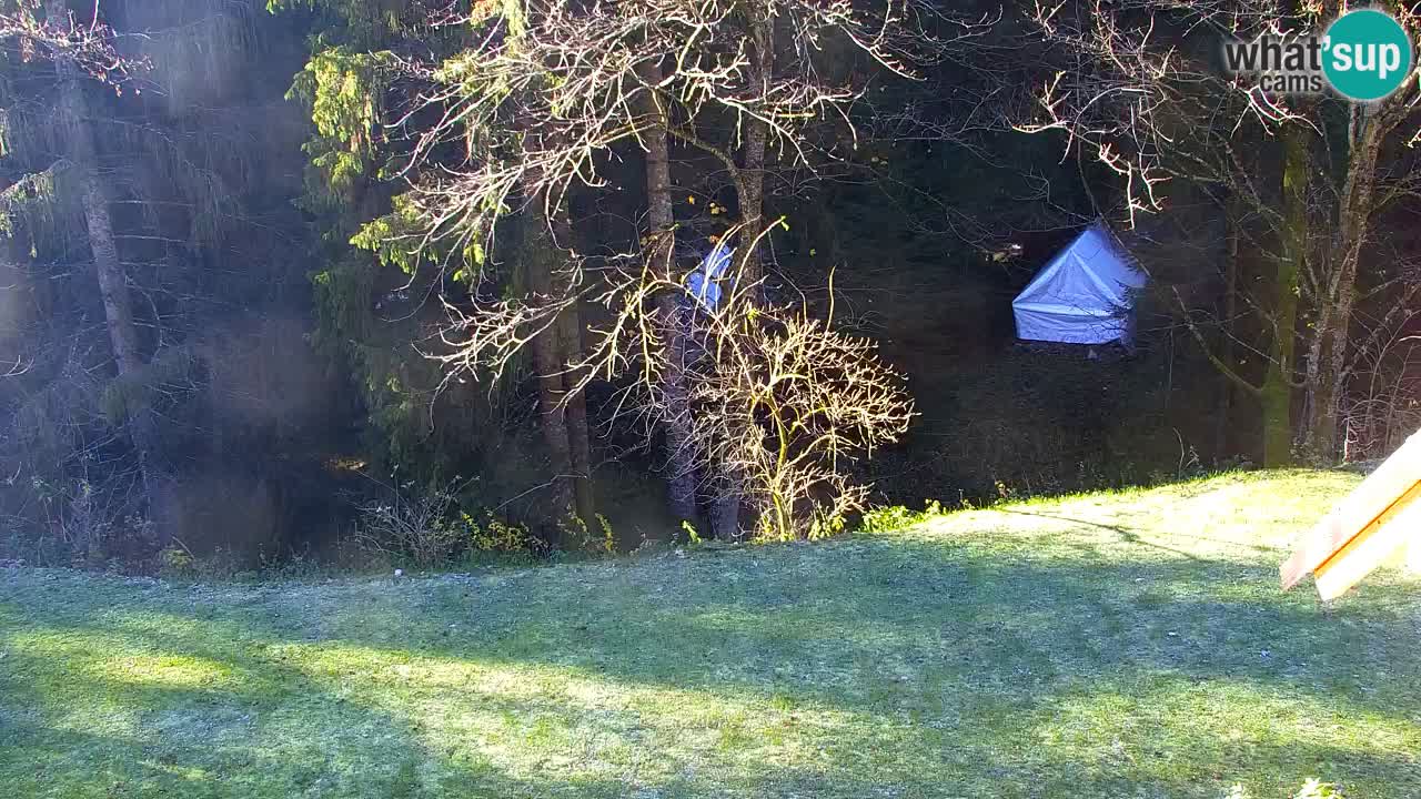 Webcam Lukanja – Water Village | Pohorje Houses