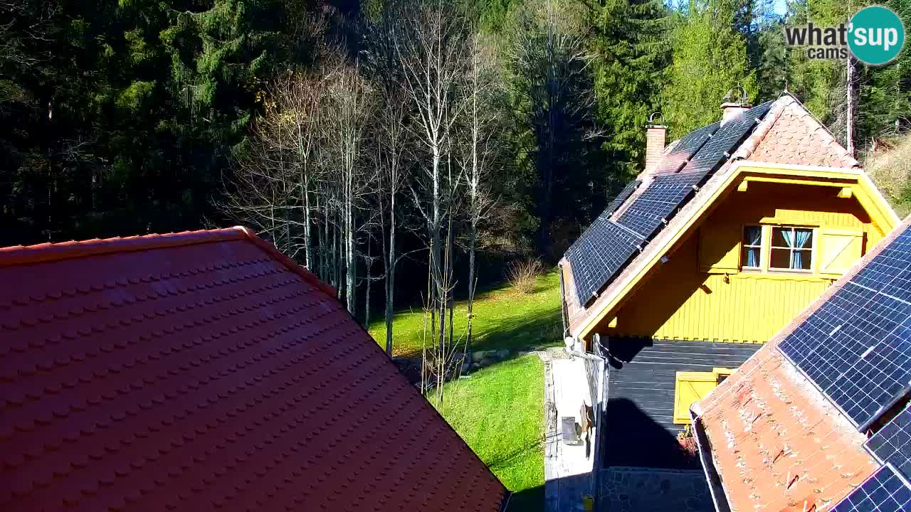 Webcam Lukanja – Water Village | Pohorje Houses