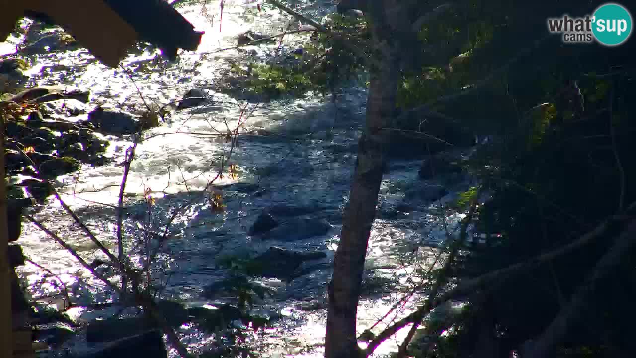 Webcam Lukanja – Water Village | Pohorje Houses