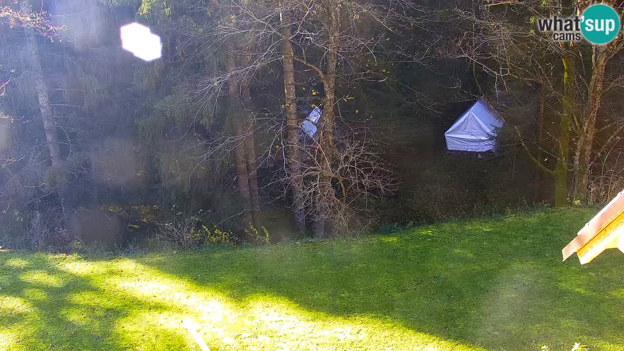 Webcam Lukanja – Pohorje houses a Water village