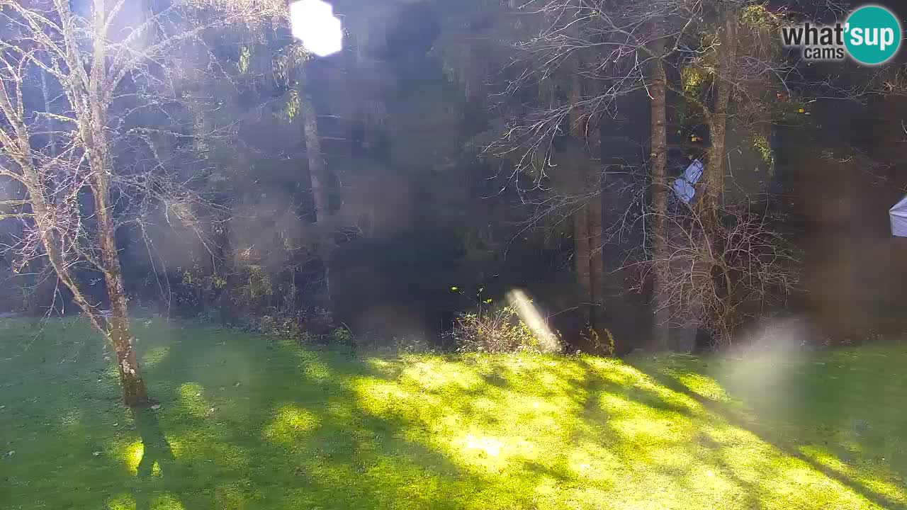 Webcam Lukanja – Water Village | Pohorje Houses