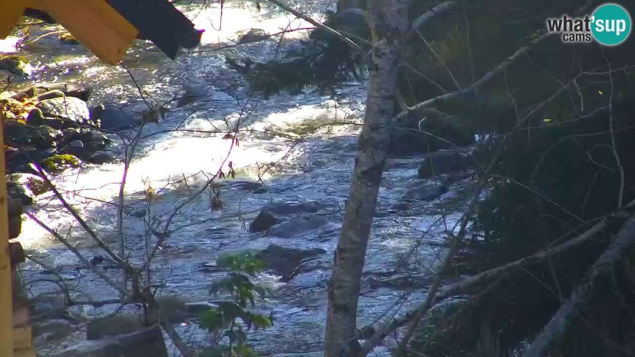Web kamera Lukanja – Water Village | Pohorje Houses