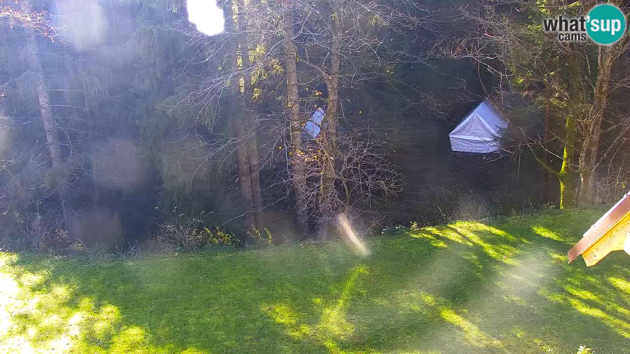 Spletna kamera Lukanja – Water Village | Pohorje Houses