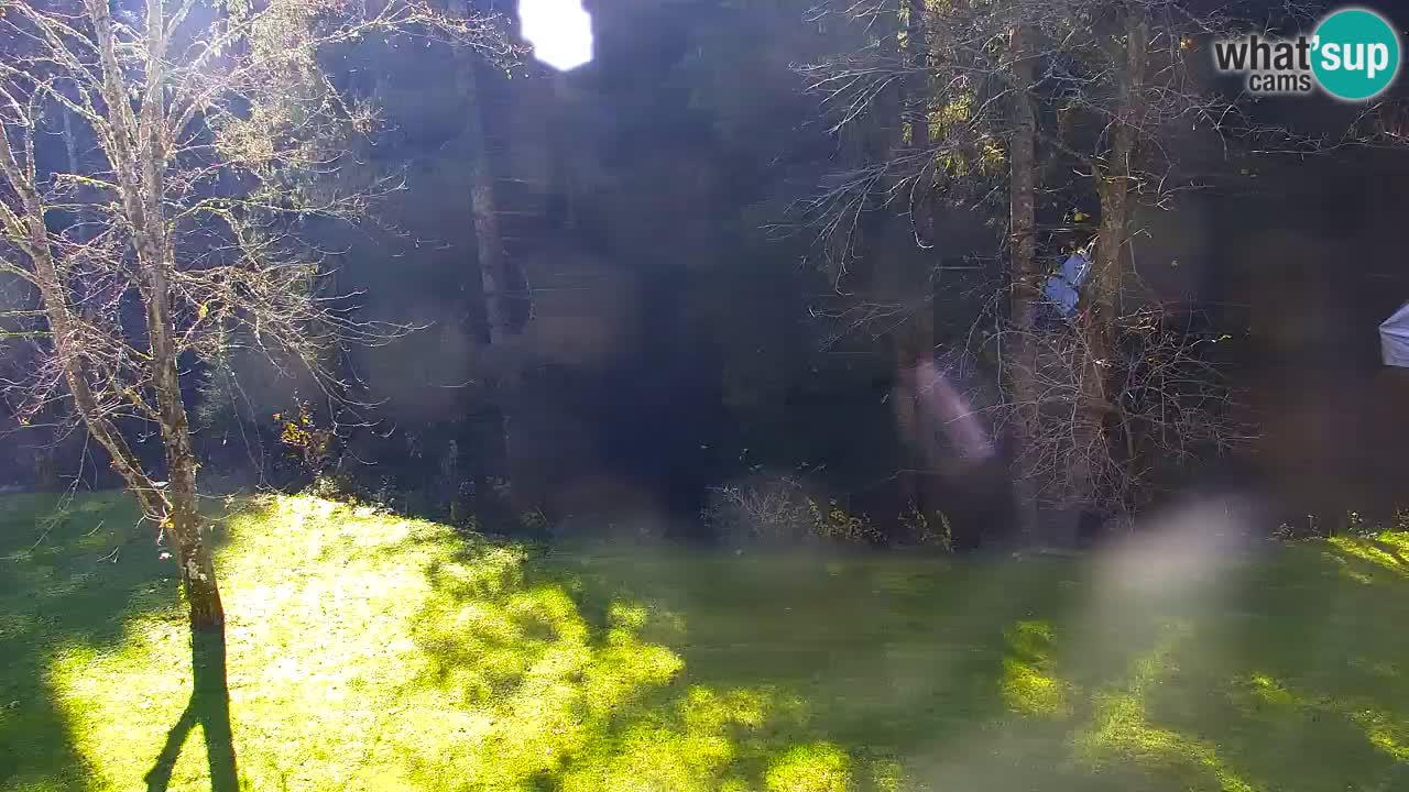 Webcam Lukanja – Pohorje houses a Water village