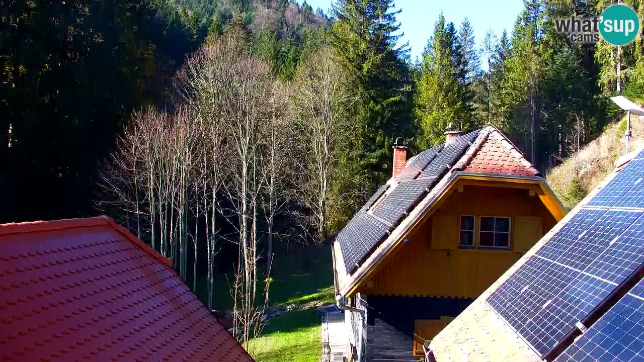 Webcam Lukanja – Water Village | Pohorje Houses