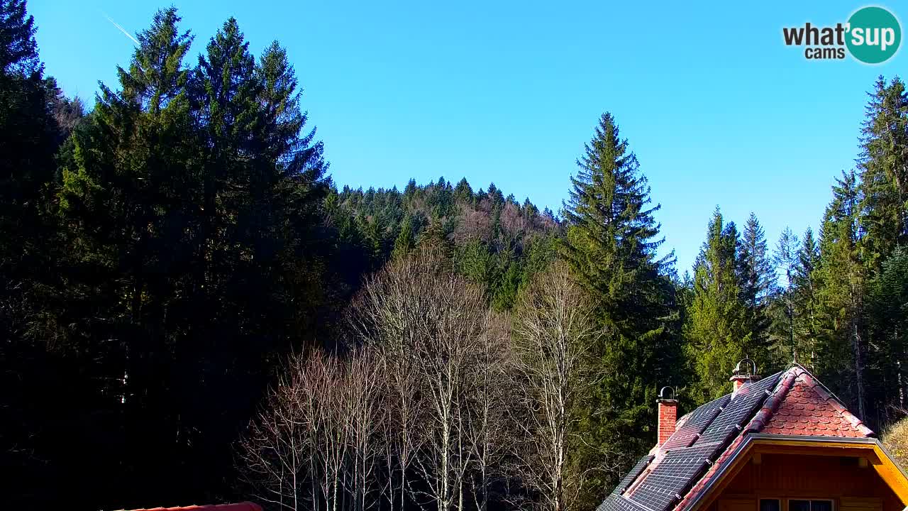 Webcam Lukanja – Water Village | Pohorje Houses