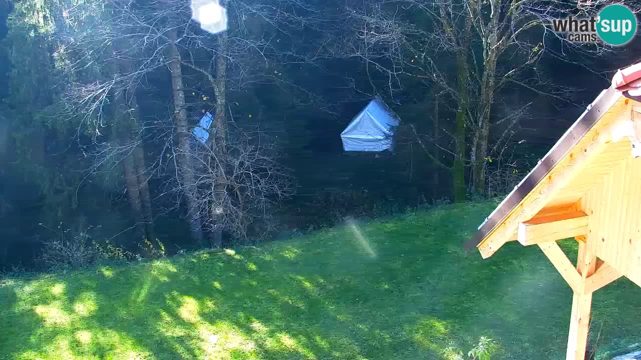 Webcam Lukanja – Water Village | Pohorje Houses