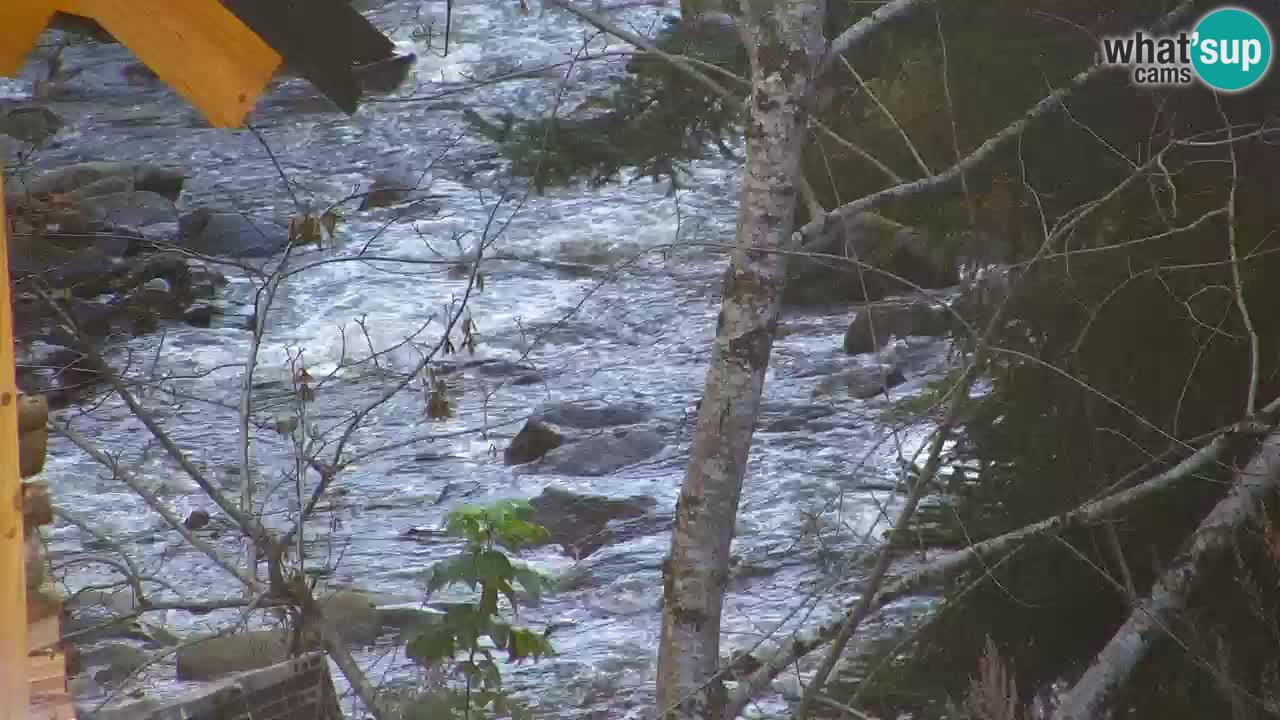 Webcam Lukanja – Water Village | Pohorje Houses