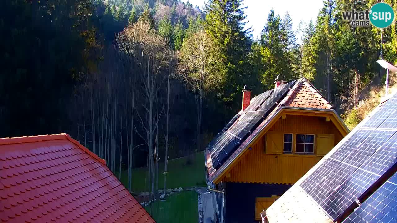 Spletna kamera Lukanja – Water Village | Pohorje Houses