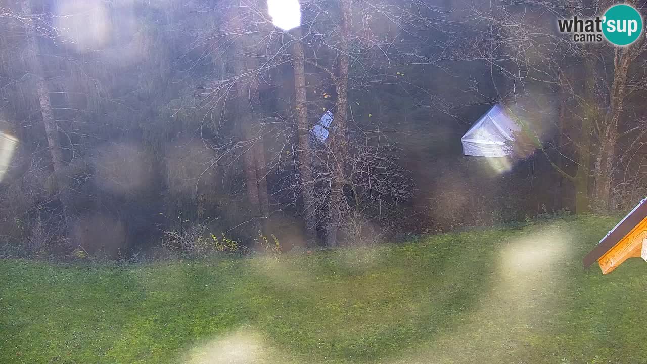 Webcam Lukanja – Water Village | Pohorje Houses