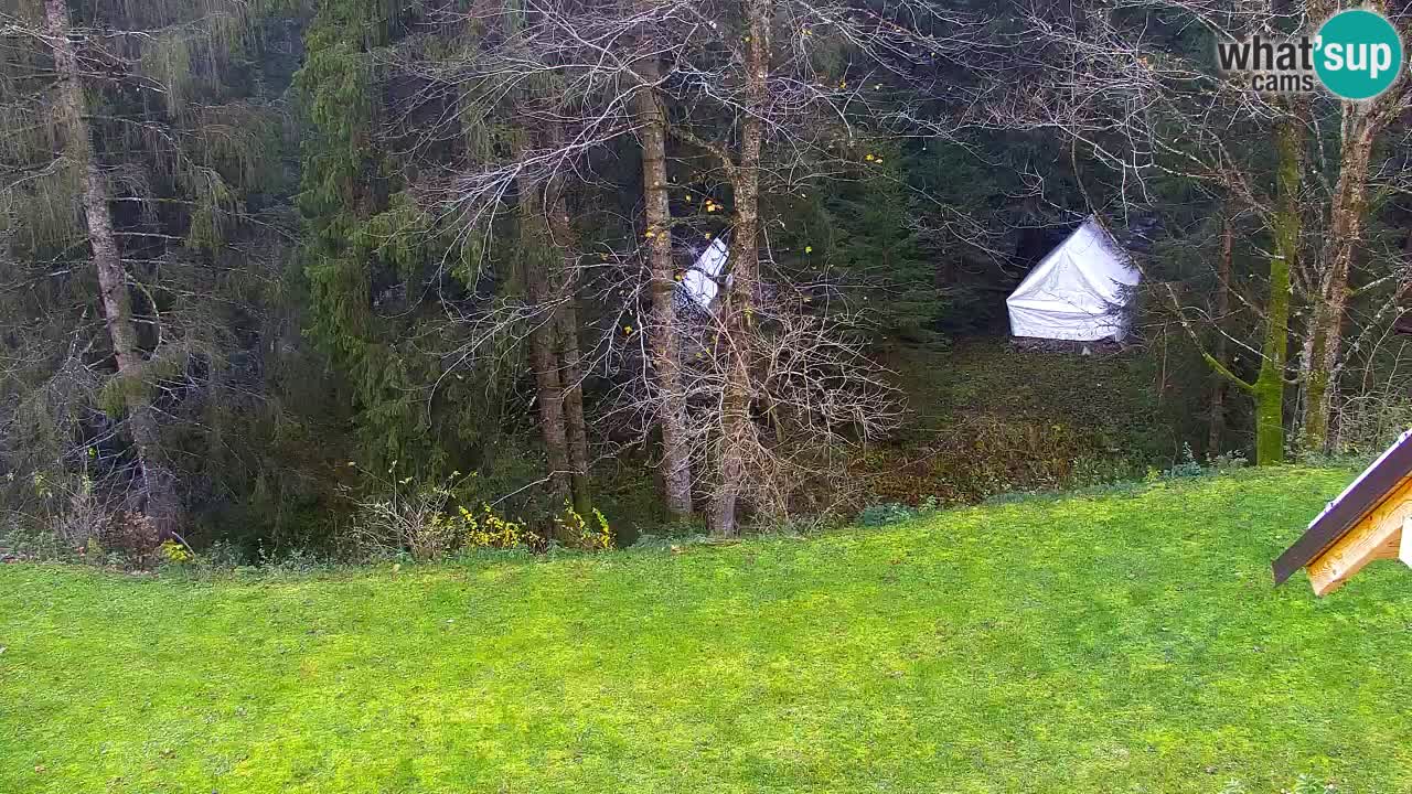 Webcam Lukanja – Water Village | Pohorje Houses