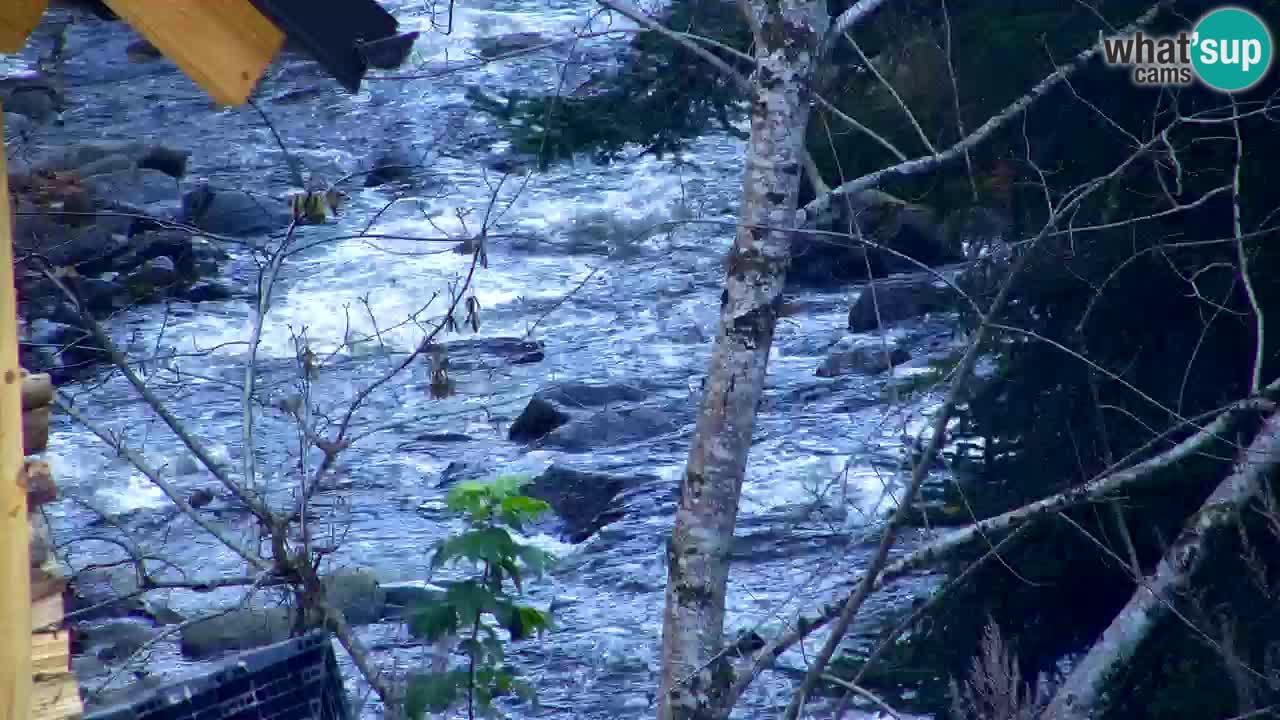 Webcam Lukanja – Pohorje houses a Water village
