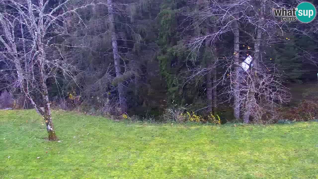 Webcam Lukanja – Pohorje houses a Water village