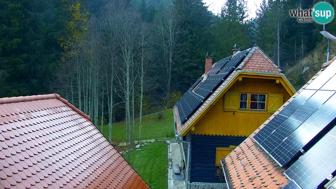 Web kamera Lukanja – Water Village | Pohorje Houses