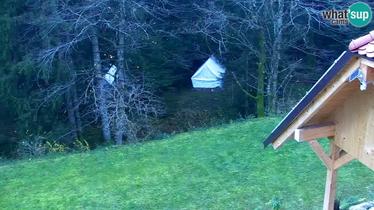 Webcam Lukanja – Water Village | Pohorje Houses