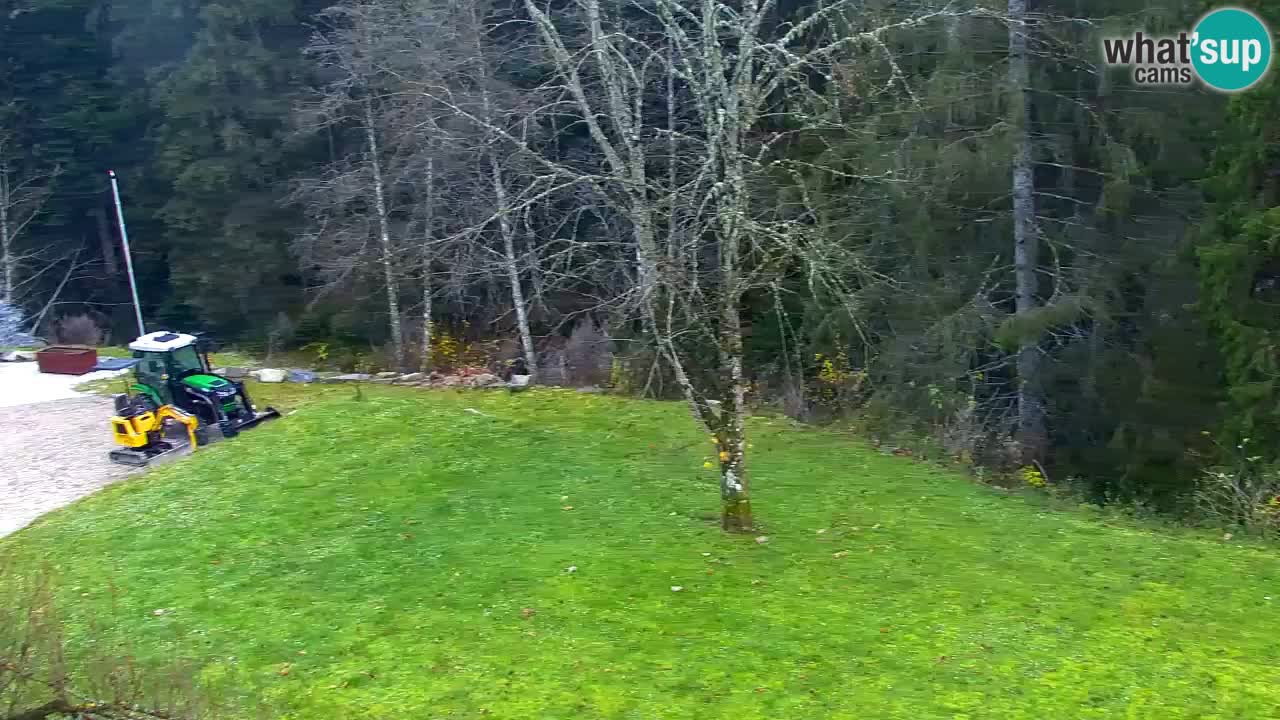 Webcam Lukanja – Pohorje houses a Water village