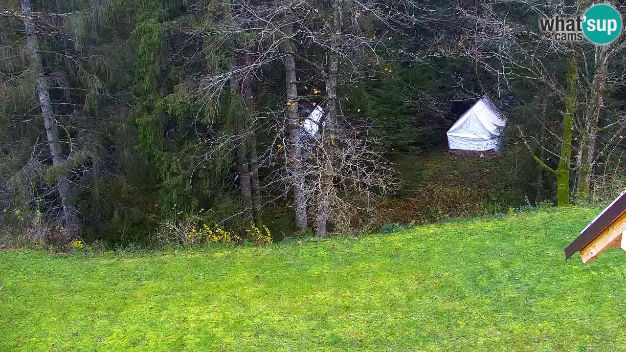 Web kamera Lukanja – Water Village | Pohorje Houses