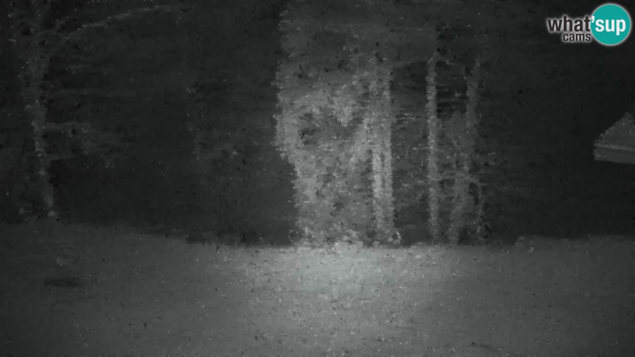 Web kamera Lukanja – Water Village | Pohorje Houses