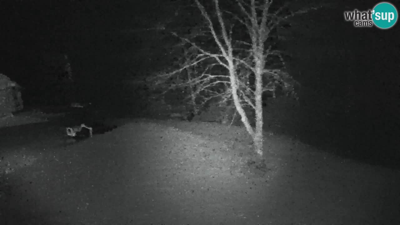 Web kamera Lukanja – Water Village | Pohorje Houses