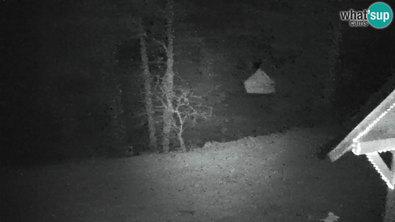 Spletna kamera Lukanja – Water Village | Pohorje Houses