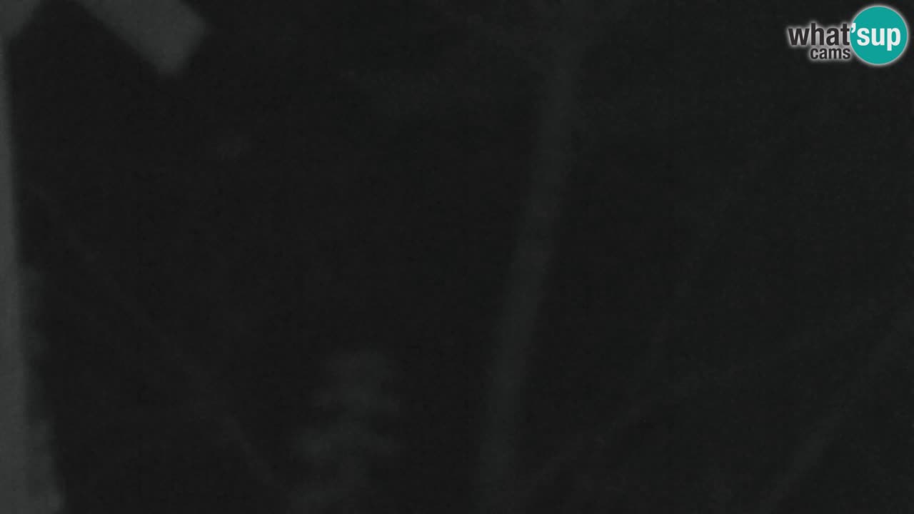 Web kamera Lukanja – Water Village | Pohorje Houses