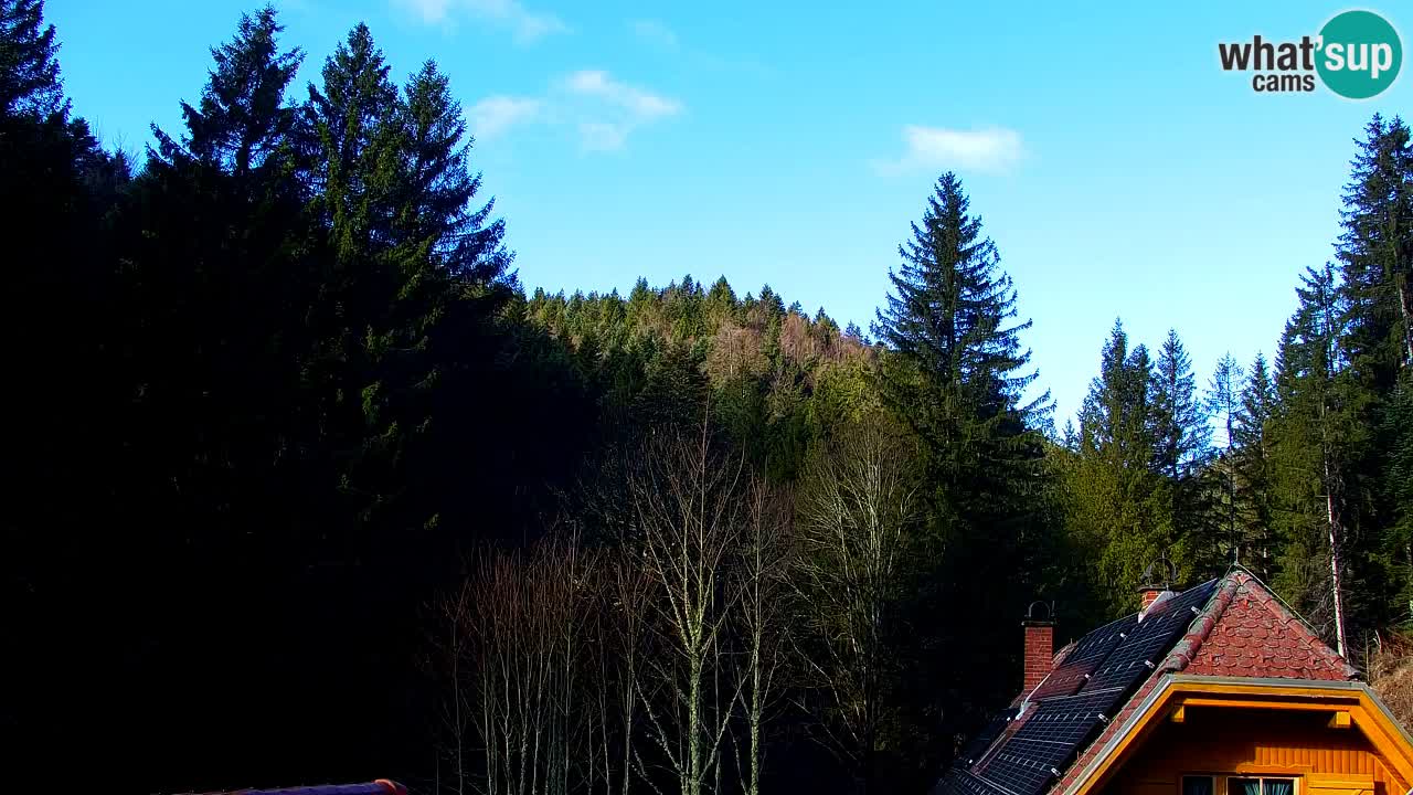 Web kamera Lukanja – Water Village | Pohorje Houses