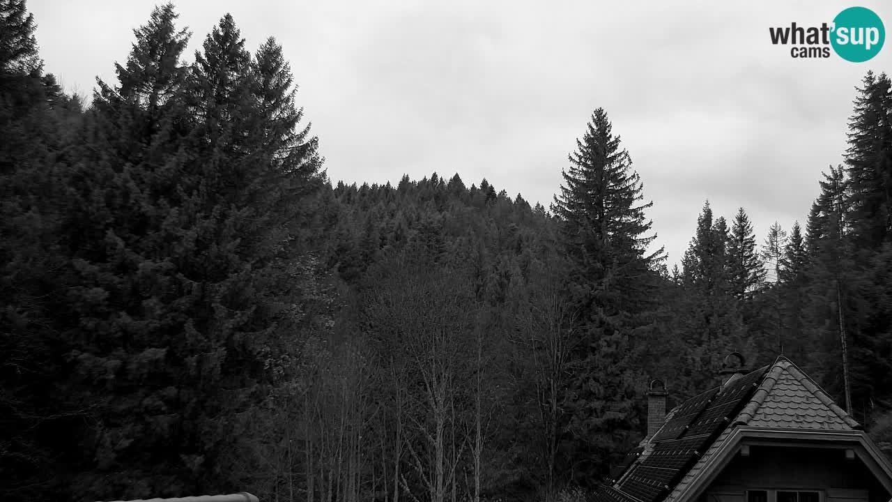 Webcam Lukanja – Pohorje houses a Water village