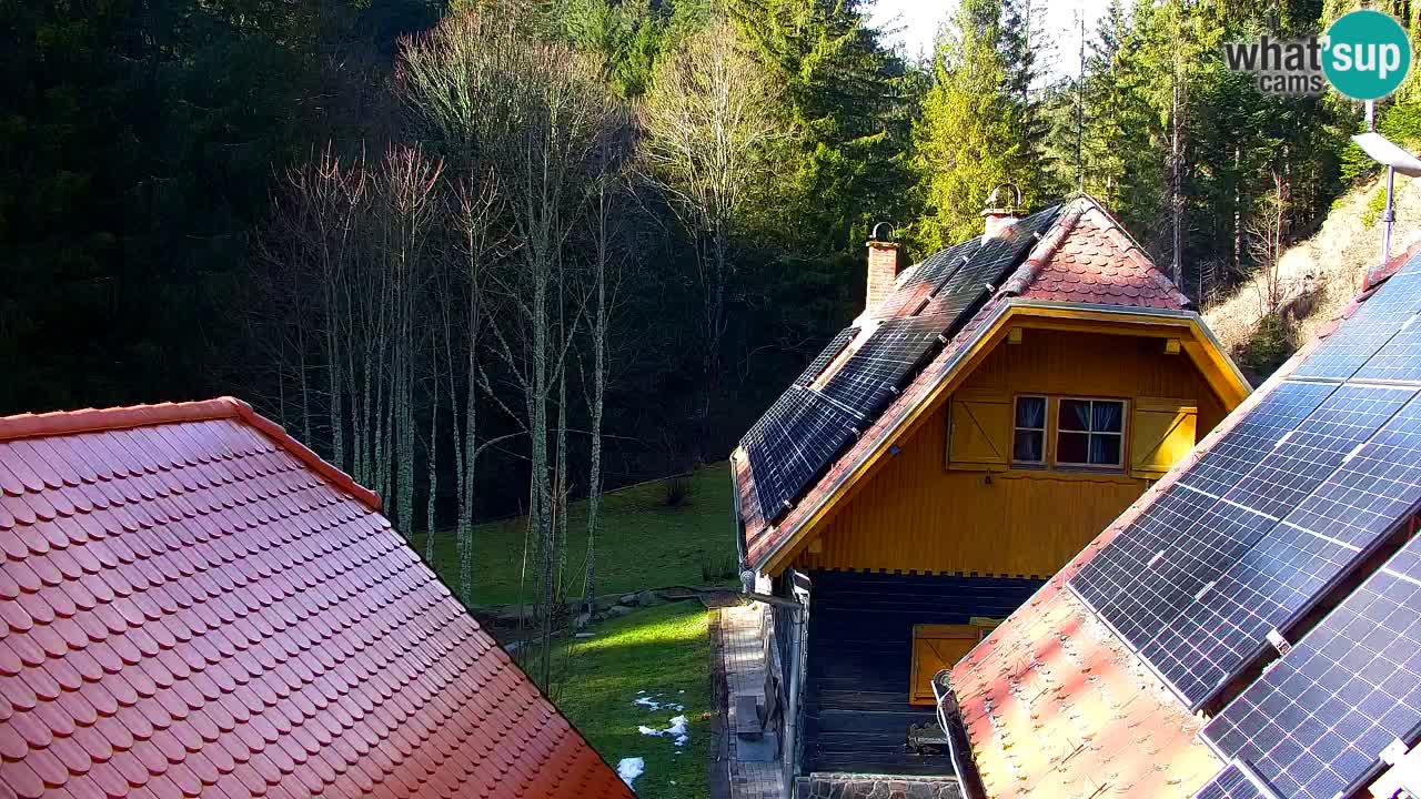 Webcam Lukanja – Water Village | Pohorje Houses