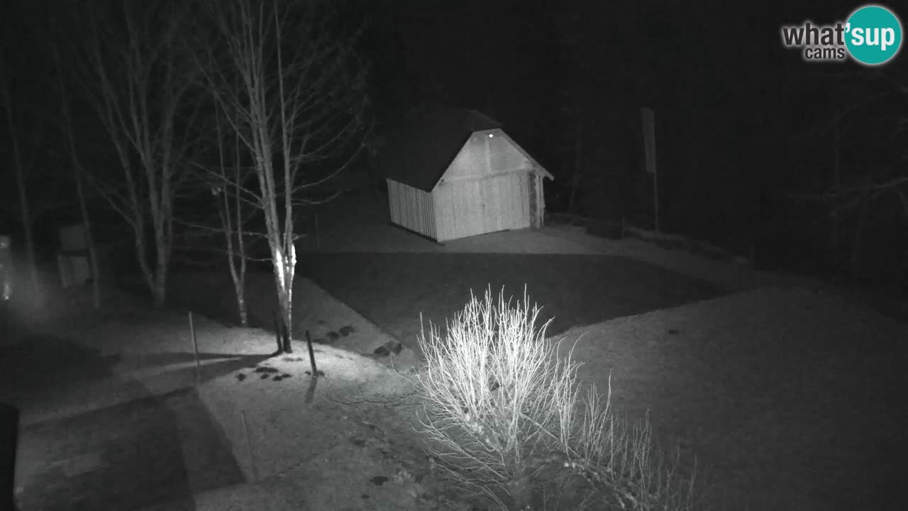 Webcam Lukanja – Water Village | Pohorje Houses