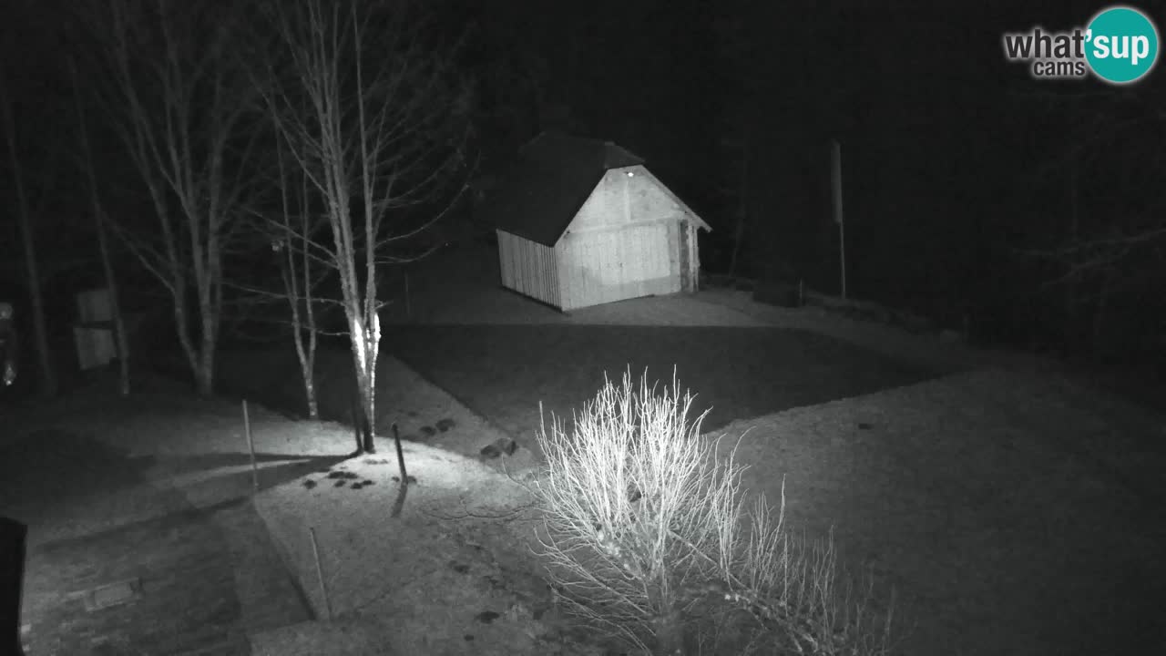 Webcam Lukanja – Water Village | Pohorje Houses