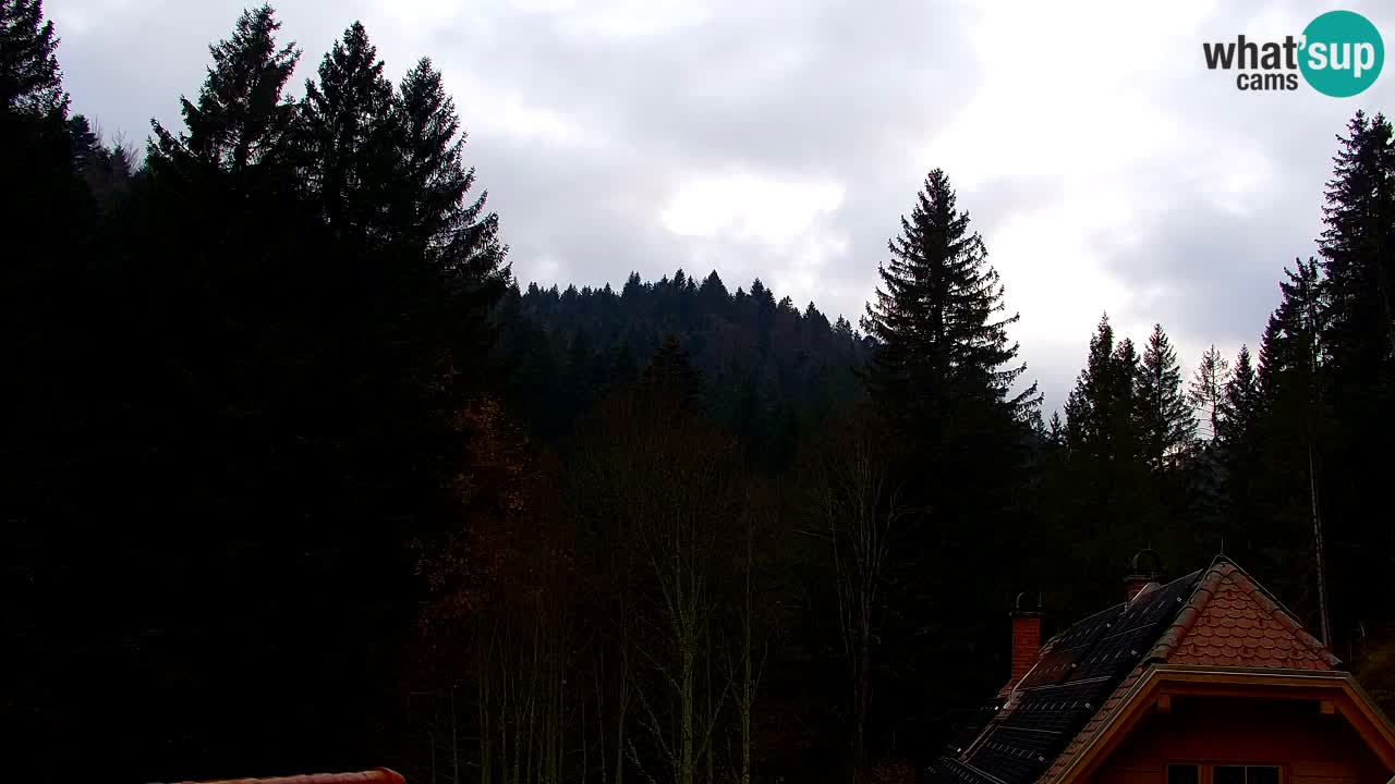 Webcam Lukanja – Water Village | Pohorje Houses