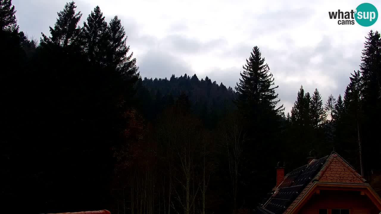 Webcam Lukanja – Pohorje houses a Water village