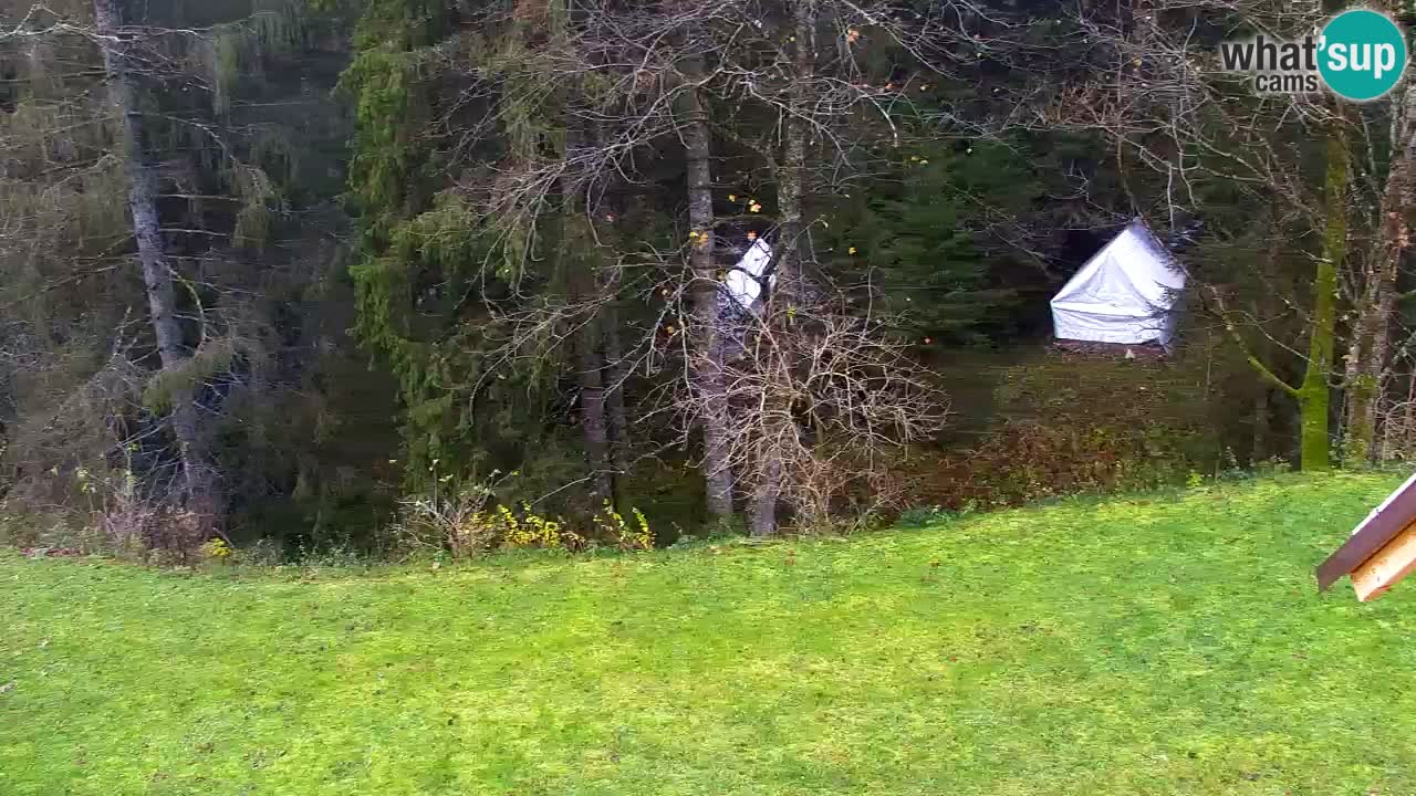 Webcam Lukanja – Water Village | Pohorje Houses