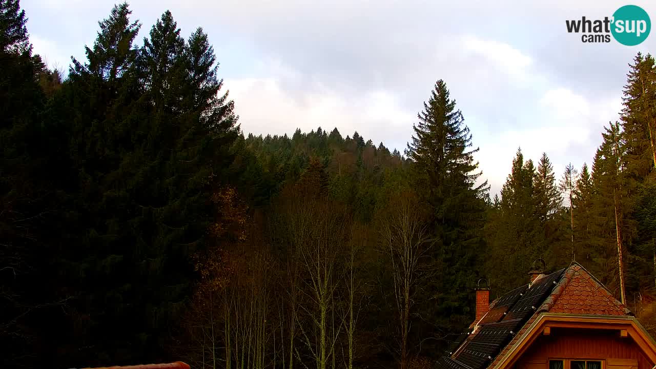 Web kamera Lukanja – Water Village | Pohorje Houses