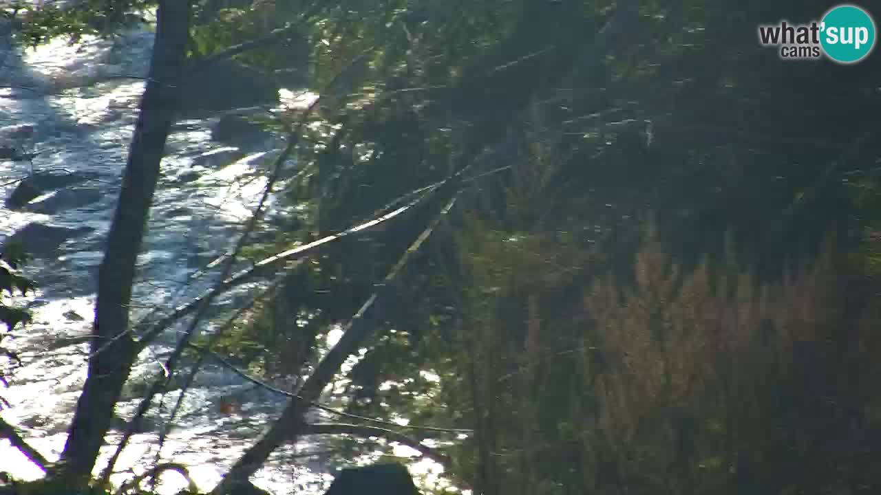 Webcam Lukanja – Pohorje houses a Water village