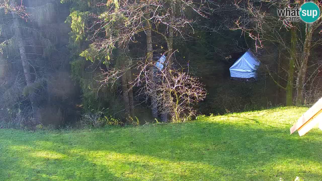 Webcam Lukanja – Water Village | Pohorje Houses