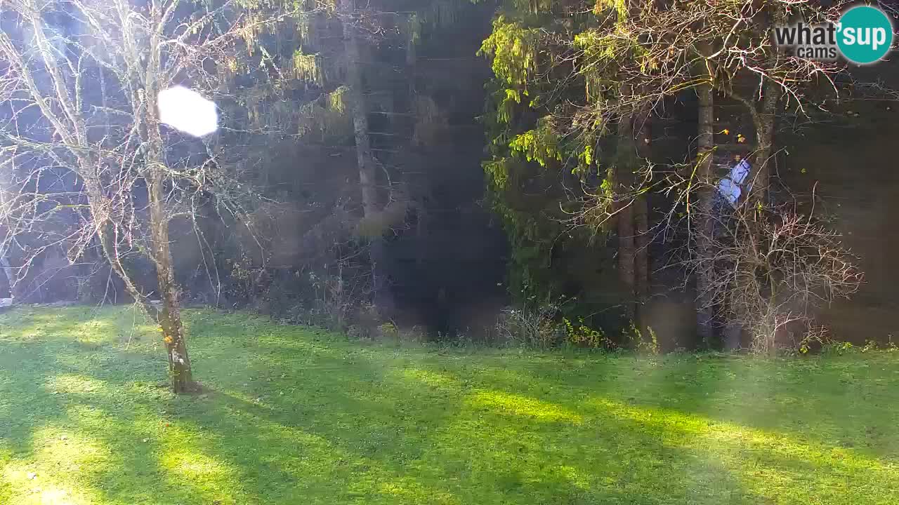 Webcam Lukanja – Water Village | Pohorje Houses