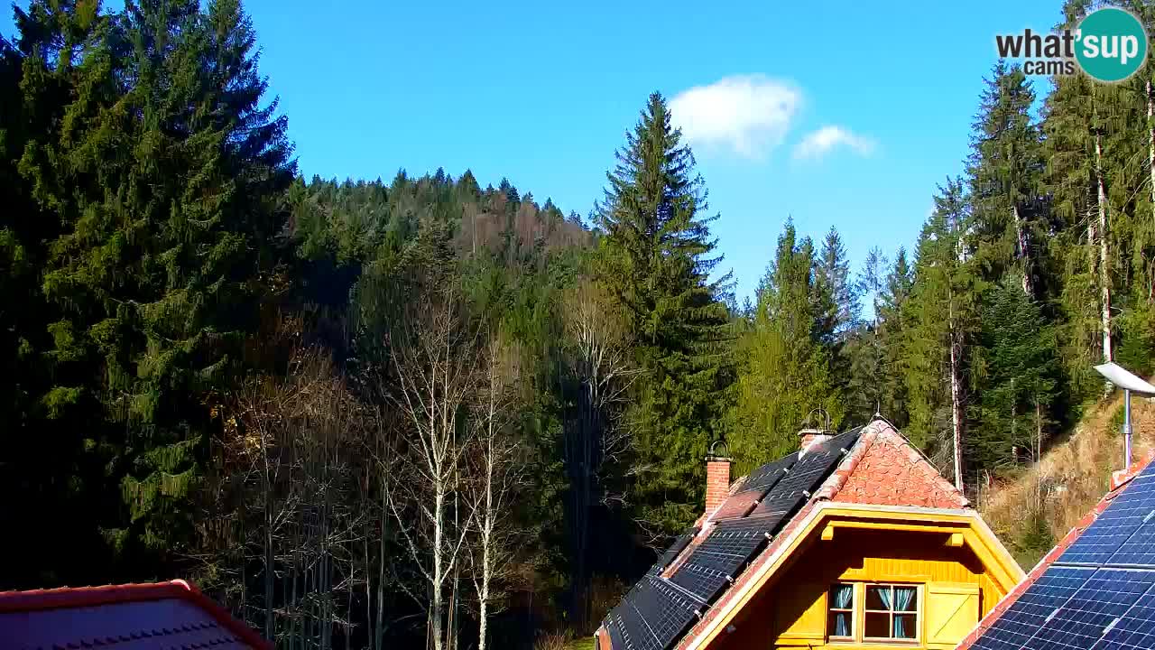 Spletna kamera Lukanja – Water Village | Pohorje Houses