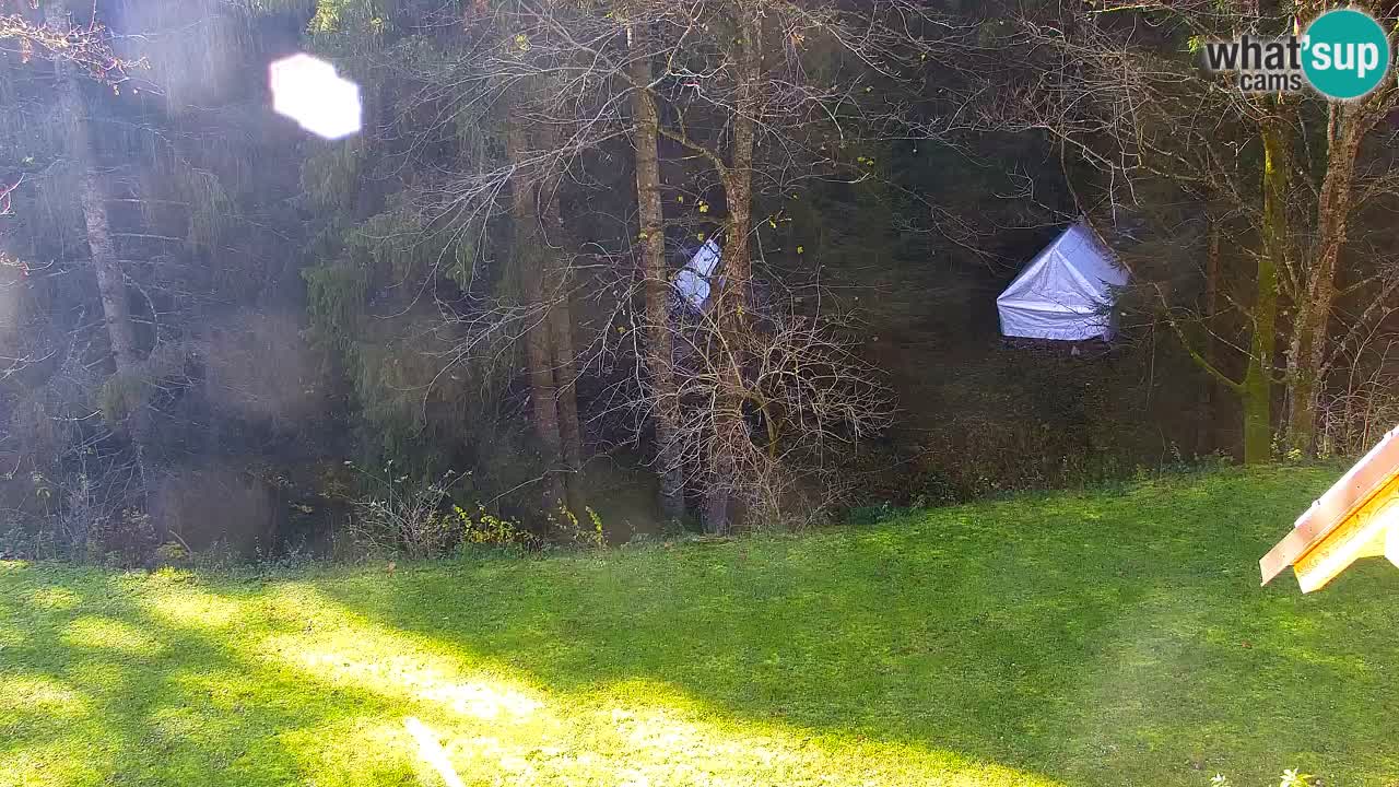 Webcam Lukanja – Water Village | Pohorje Houses