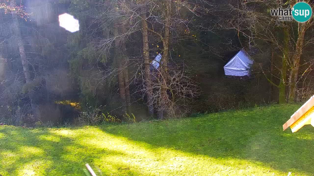 Webcam Lukanja – Water Village | Pohorje Houses