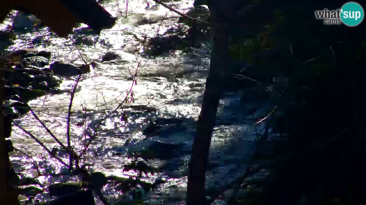 Webcam Lukanja – Water Village | Pohorje Houses