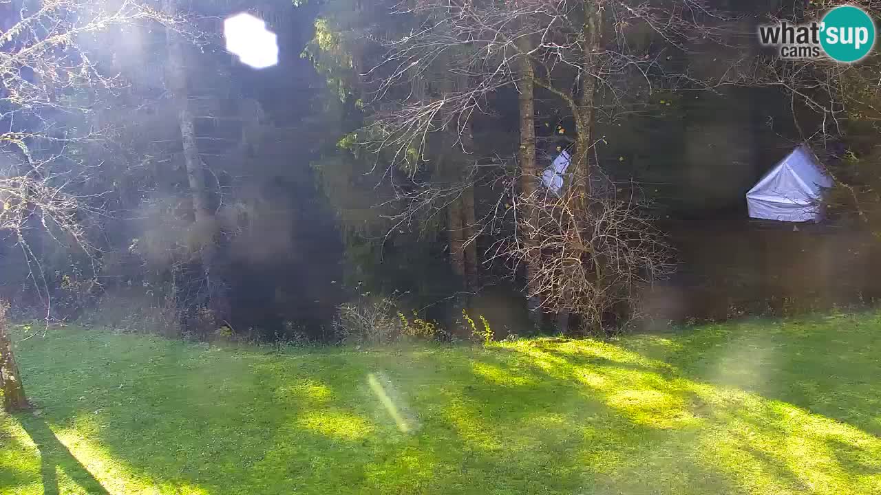 Webcam Lukanja – Pohorje houses a Water village