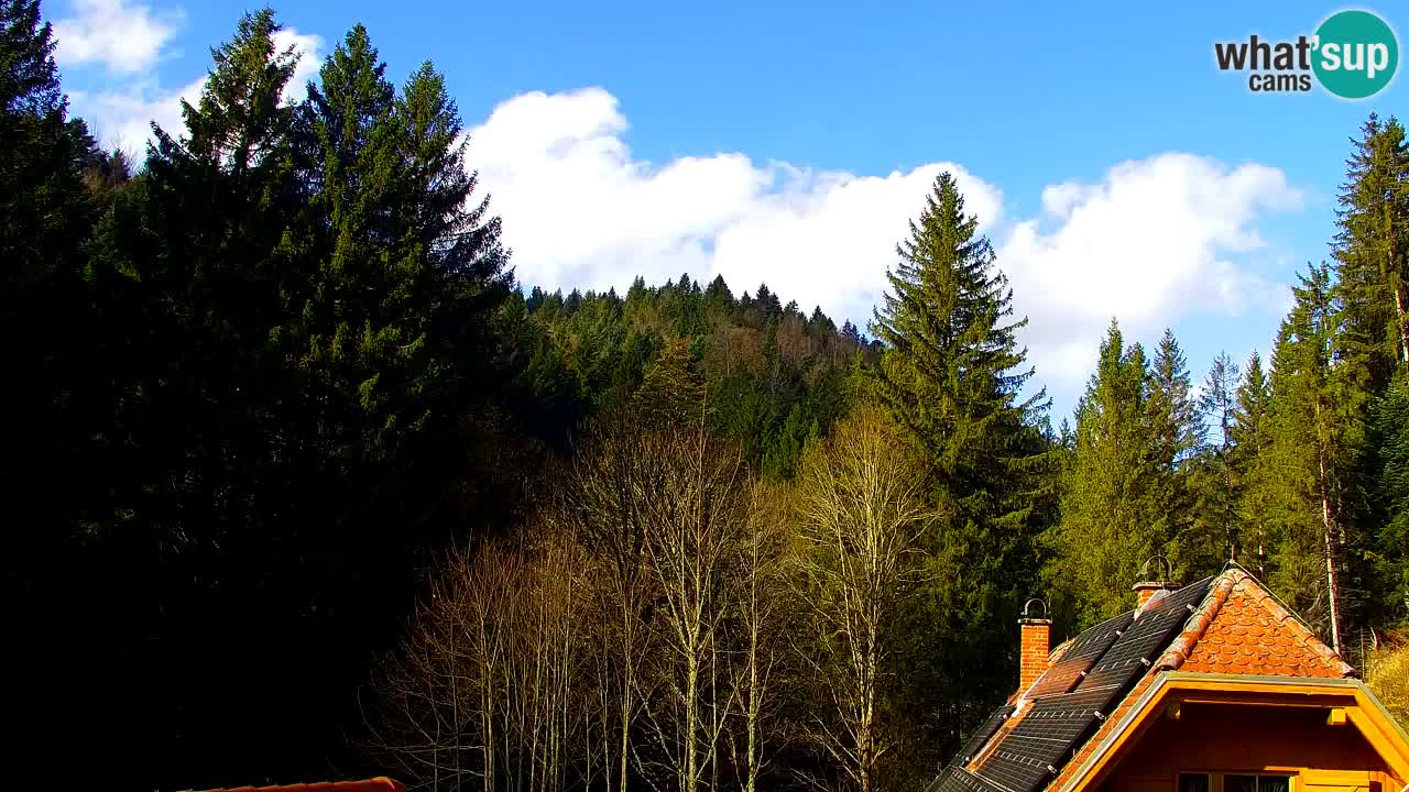 Webcam Lukanja – Water Village | Pohorje Houses