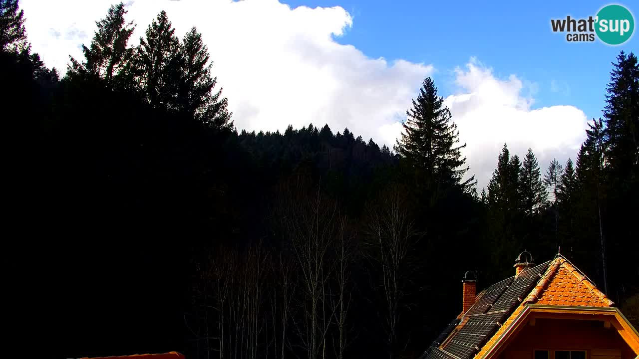 Webcam Lukanja – Water Village | Pohorje Houses